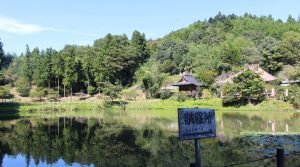 chichibu.fudasyo.25.bentenike1